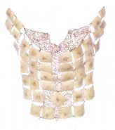Pectoral